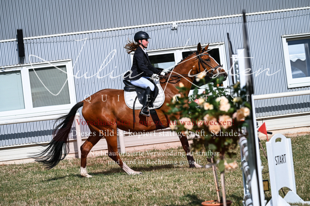 DSC_7688 | Pferde- und Turnierfotografie in Westsachsen. Pferdeportraits, Auftragszeichnungen und intuitive Kunst.