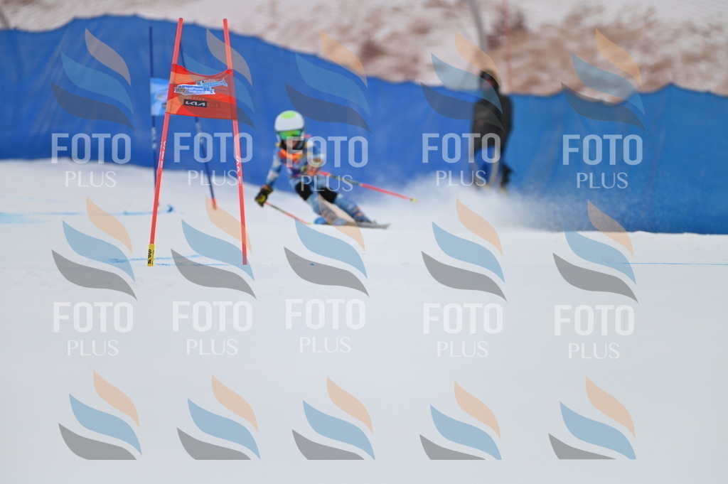 BGV_1506 | holidayphoto