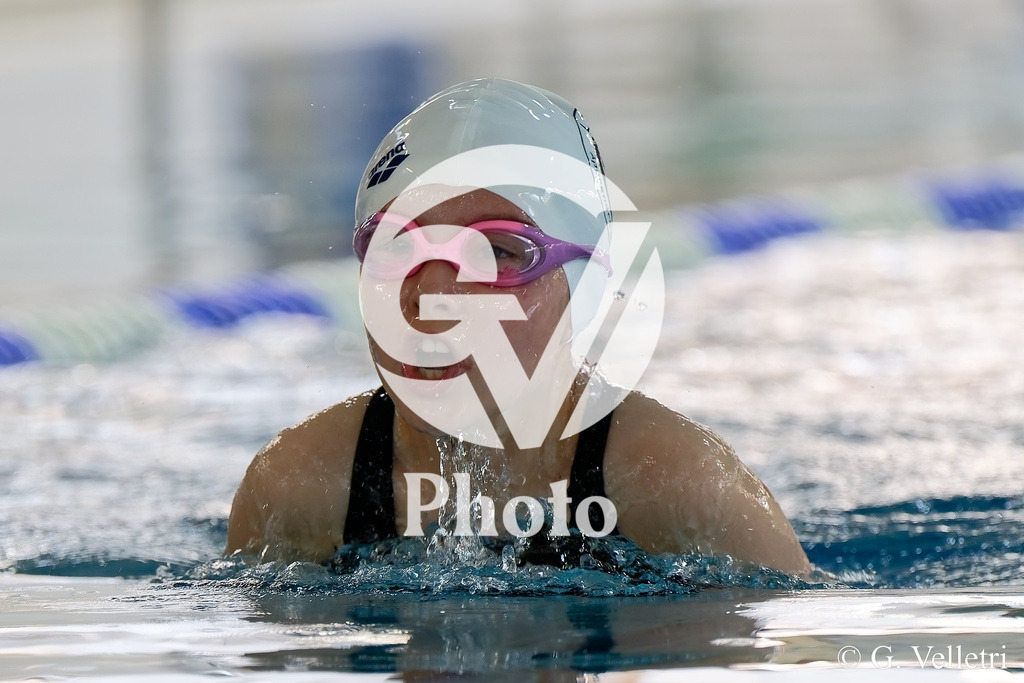 DSC_4247 | Velletri Photo