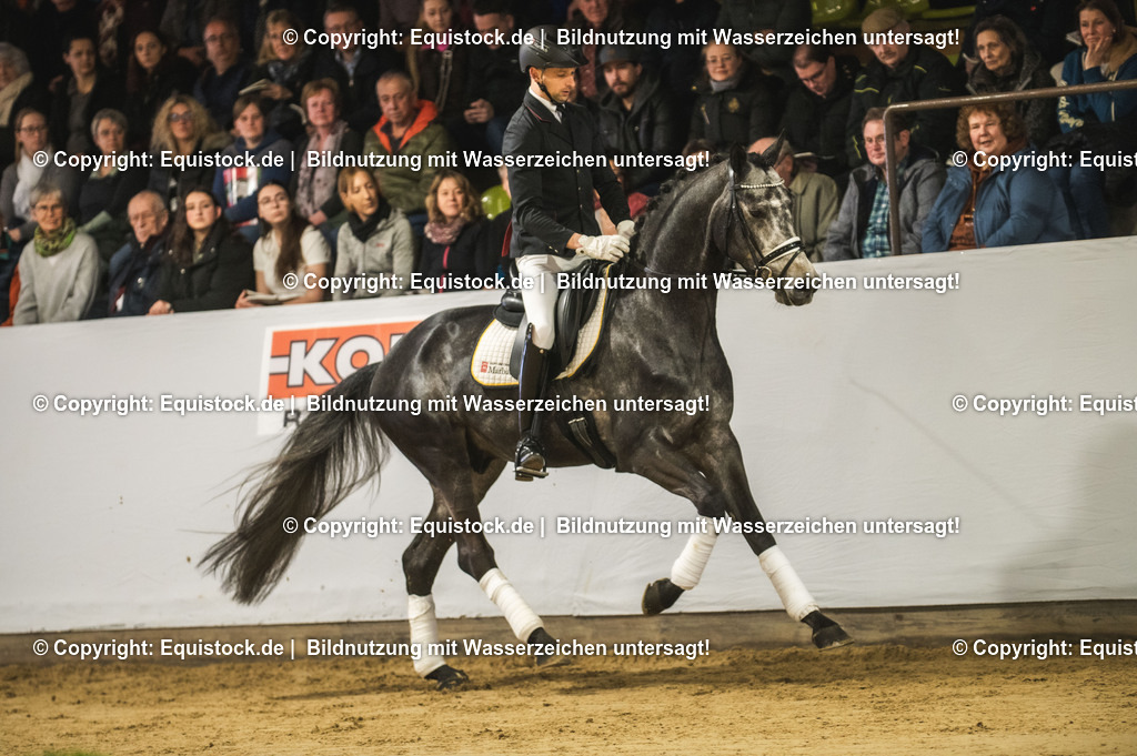 20240302_Hengstvorstellung_Marbach_TOMsPiC_0186 | equistock