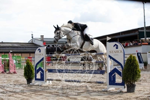 2B4A3646 | pixelfaenger - Realisiert mit Pictrs.com