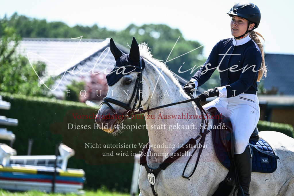 DSC_1406 | Pferde- und Turnierfotografie in Westsachsen. Pferdeportraits, Auftragszeichnungen und intuitive Kunst.