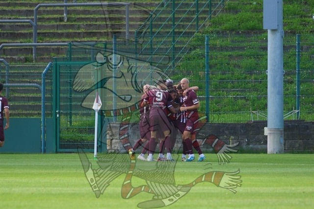 BFC Dynamo vs. ZFC Meuselwitz 080 | mythos-online-redaktion