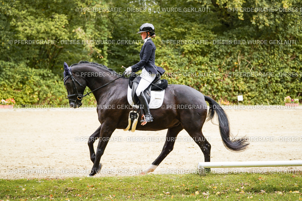 DSC00028 | Pferdegrafie