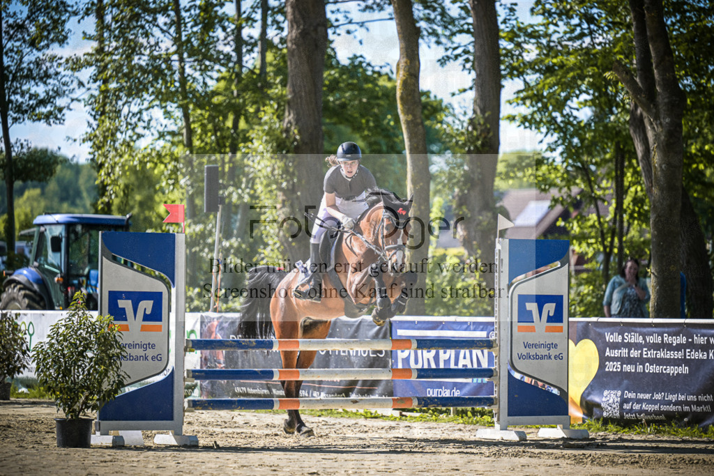 DOS_3035 | Entdecke hochwertige Reitturnierfotos von Foto Oger. Professionell, emotional und authentisch – jetzt Lieblingsmomente im Shop bestellen.Deutschlandweite Turnierfotografie. - Realisiert mit Pictrs.com