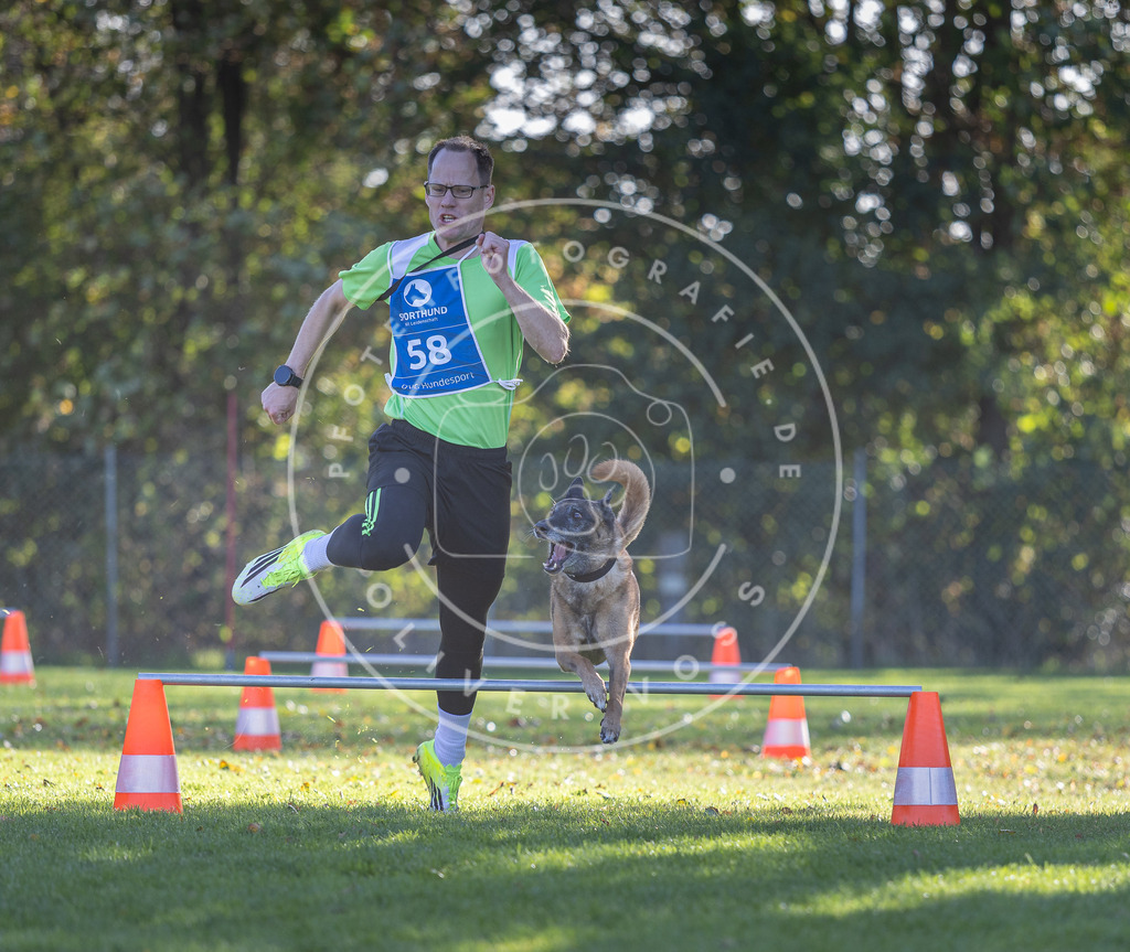 Pfotenfotografie.de_DV3A3140 | Hundefotografie, Tierfotograf, Pfotenfotografie, Fotoshooting Hund, Hunde Portrait, Hundesport, Hundeportraits, Heideshooting, Hunde, Sportfotograf, Hundefotograf, Turnierhundsport, THS, canicross - Realisiert mit Pictrs.com