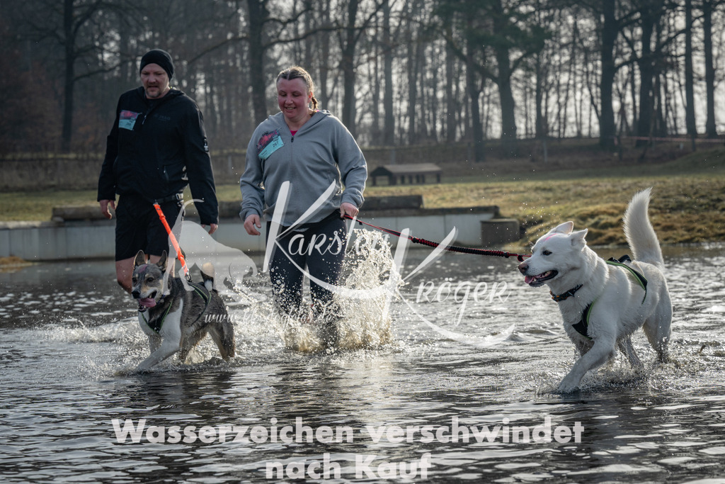 0936_ZZ92629 | kk-dogfotos
