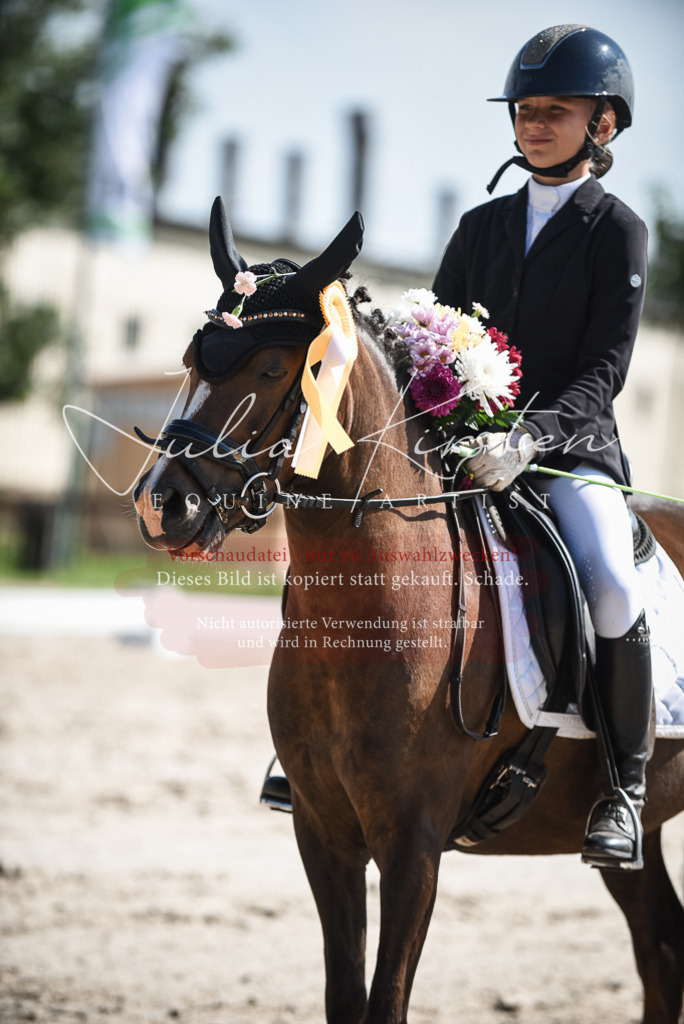 DSC_8759 | Pferde- und Turnierfotografie in Westsachsen. Pferdeportraits, Auftragszeichnungen und intuitive Kunst.
