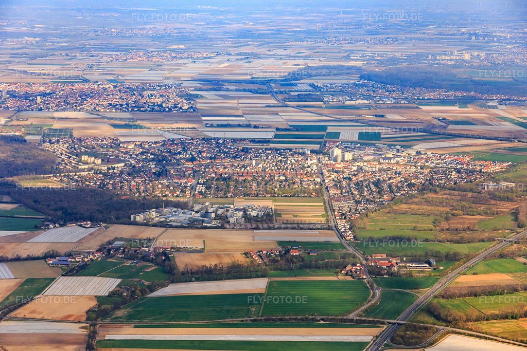 Luftbild: Ortsansicht aus Süden in Limburgerhof im Bundesland Rheinland-Pfalz in Deutschland. Foto: IMG_076890.jpg vom 12.04.2015 durch Werner Riehm/FLY-FOTO.de