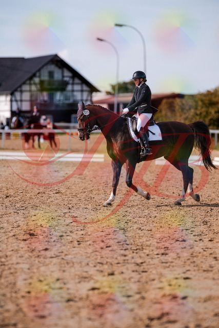 2026_10_03_Siefer-Hof_132607_Z81_78970038 | Professionelle Reitsport-, Turnier- und Eventfotografie von Robert Broda. Galerien mit ausgewählten und bearbeiteten Bildern direkt online ansehen und bestellen.