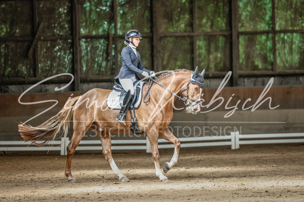 20250621-_3LI6472 | Tierfotografie Pferde, Hunde, Katzen, Haustiere.
Turnierfotografie Reitturniere, Reiten, Springreiten, Dressur in Hanau, dem Main-Kinzig-Kreis und dem Rhein-Main- Gebiet um Frankfurt