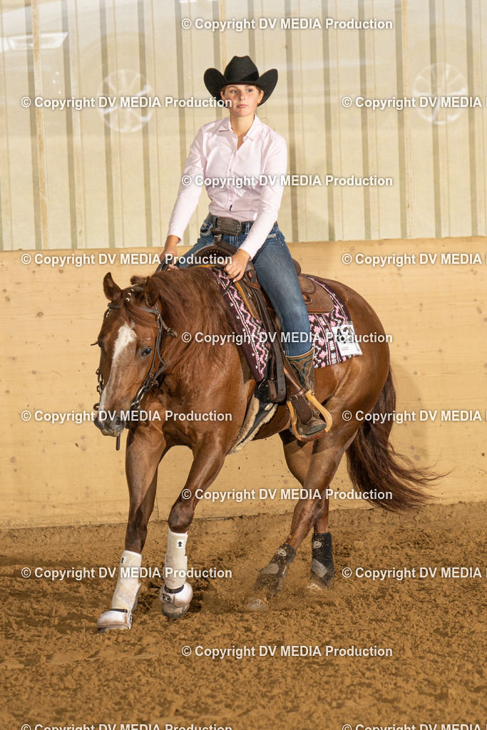 LAU00622 | dv-media-shop - Realisiert mit Pictrs.com