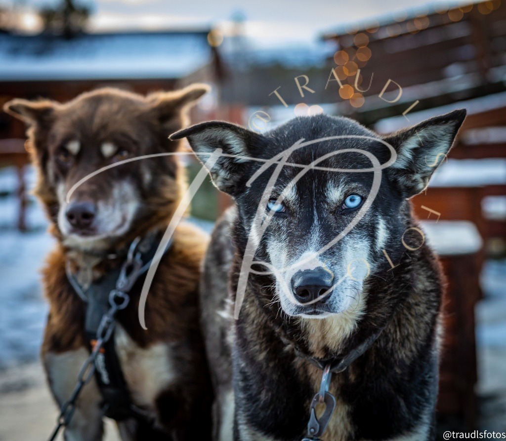 EEDB5C89-E772-4FD2-839B-5624771C66B8 | traudl_s_fotos