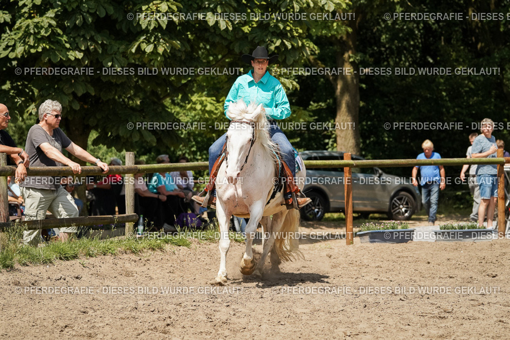 DSC09640 | Pferdegrafie