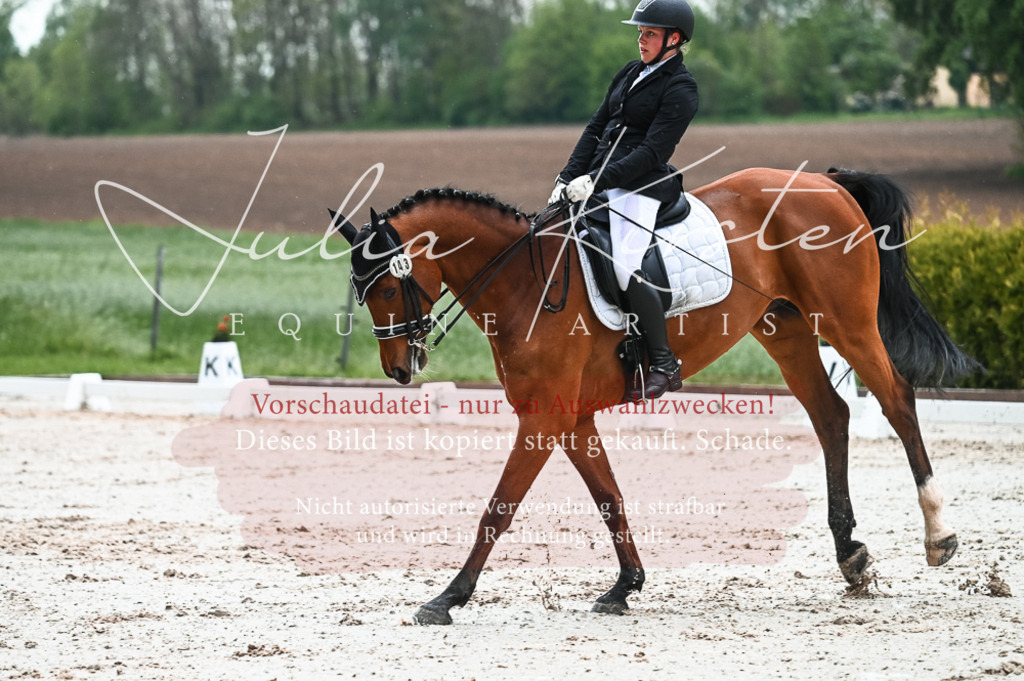 DSC_4396 | Pferde- und Turnierfotografie in Westsachsen. Pferdeportraits, Auftragszeichnungen und intuitive Kunst.