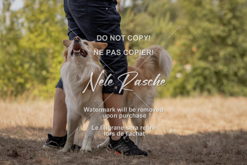 nelerasche_soDD2_165 | nelerasche