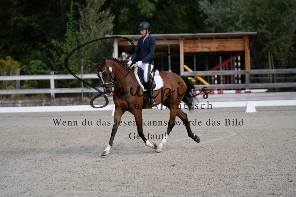 A7V06786 | Turnier/Reitfotograf