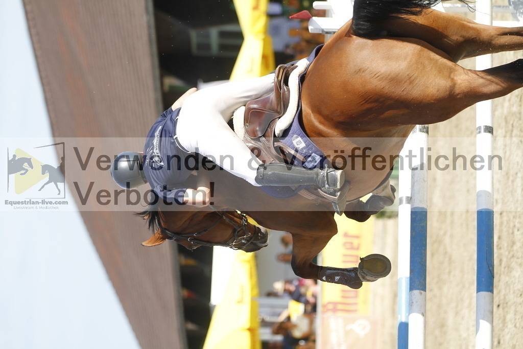 _MG_6561 | equestrian-live-com