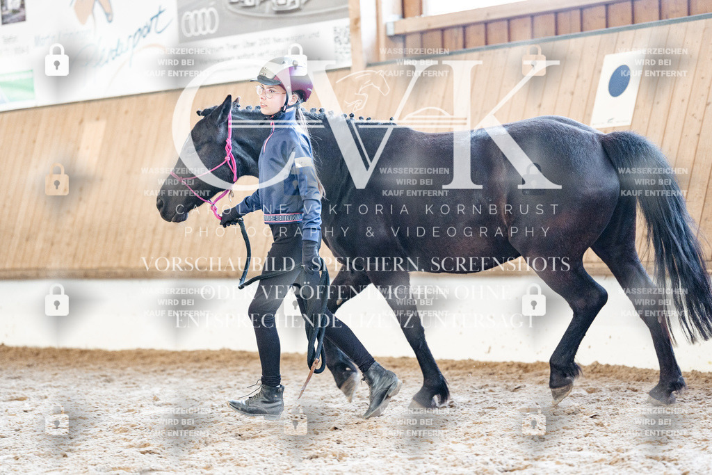 CK906810 | Turnierfotografie Pferdefotografie Trier Rheinland-Pfalz Pferdesport Reitsport Tierfotografie Sportfotografie Pferdevideo Pferdevideografie Equestrianvideography equestrianphotography  - Realisiert mit Pictrs.com