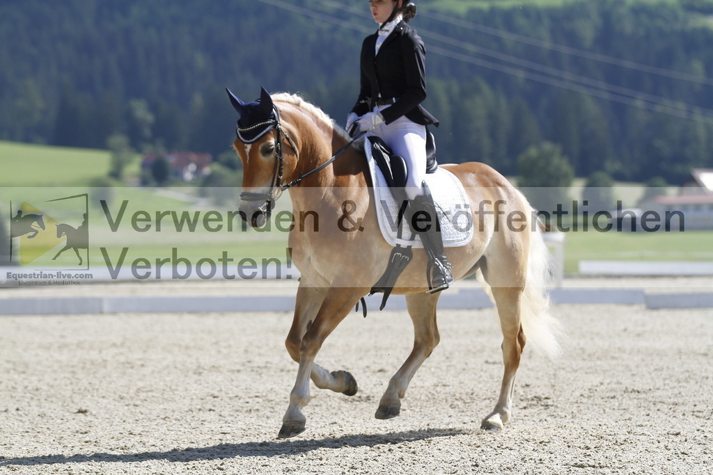 _MG_6214 | equestrian-live-com