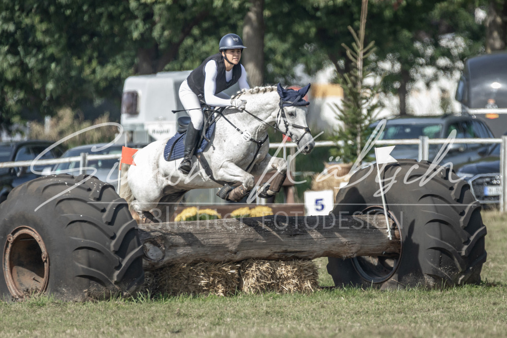 20250907-_3LR7874 | Tierfotografie Pferde, Hunde, Katzen, Haustiere.
Turnierfotografie Reitturniere, Reiten, Springreiten, Dressur in Hanau, dem Main-Kinzig-Kreis und dem Rhein-Main- Gebiet um Frankfurt