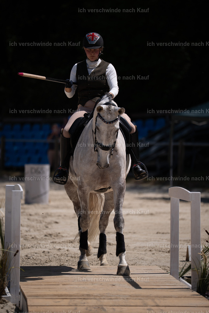WS_ST_87_stoibphotography_SO10908 | working equitationturnier fotograf videograf stoibphotography marixx film working equitation deutschland reitsport turnierfotografie eventfotografie equestrian events