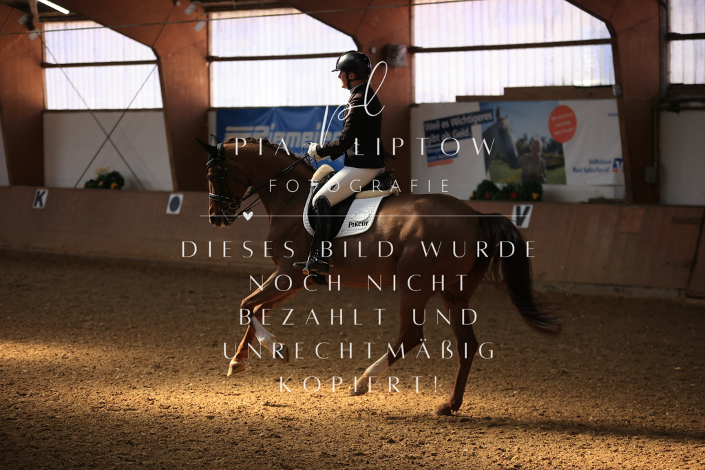 IMGT2875 | pl-fotografie