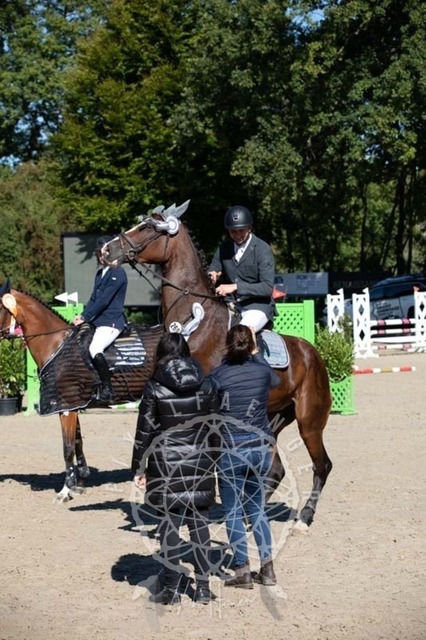 2B4A0380 | pixelfaenger - Realisiert mit Pictrs.com