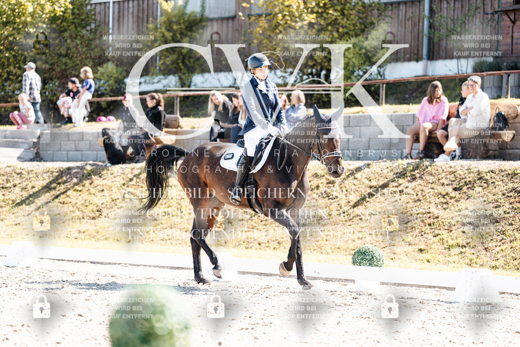 CK903351 | Turnierfotografie Pferdefotografie Trier Rheinland-Pfalz Pferdesport Reitsport Tierfotografie Sportfotografie Pferdevideo Pferdevideografie Equestrianvideography equestrianphotography  - Realisiert mit Pictrs.com