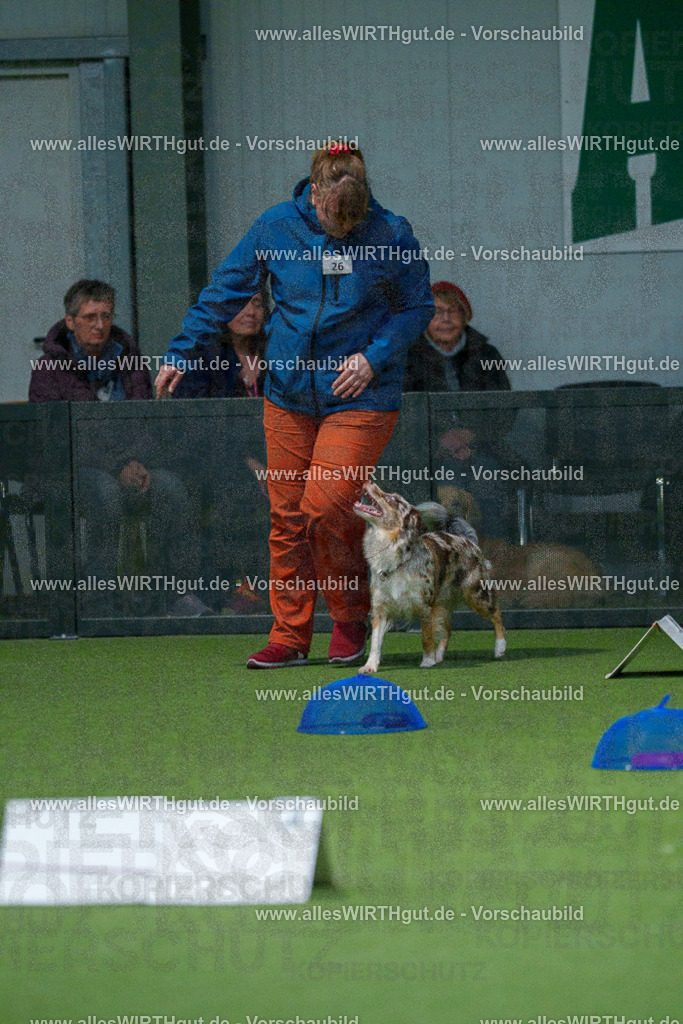 7R500297 | Professionelle Tierfotografie in Mönchengladbach von Daniel Wirth (allesWIRTHgut). Liebevolle & natürliche Bilder von Hunden & Katzen für unvergessliche Erinnerungen.