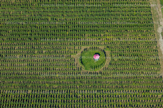 Dortmund240804583 | Mini Camping mit Sonnenschirm im Feld und Wiese, Hof Mertin Bönninghauser Straße, Formen und Farben, Hostedde, Dortmund, Ruhrgebiet, Nordrhein-Westfalen, Deutschland