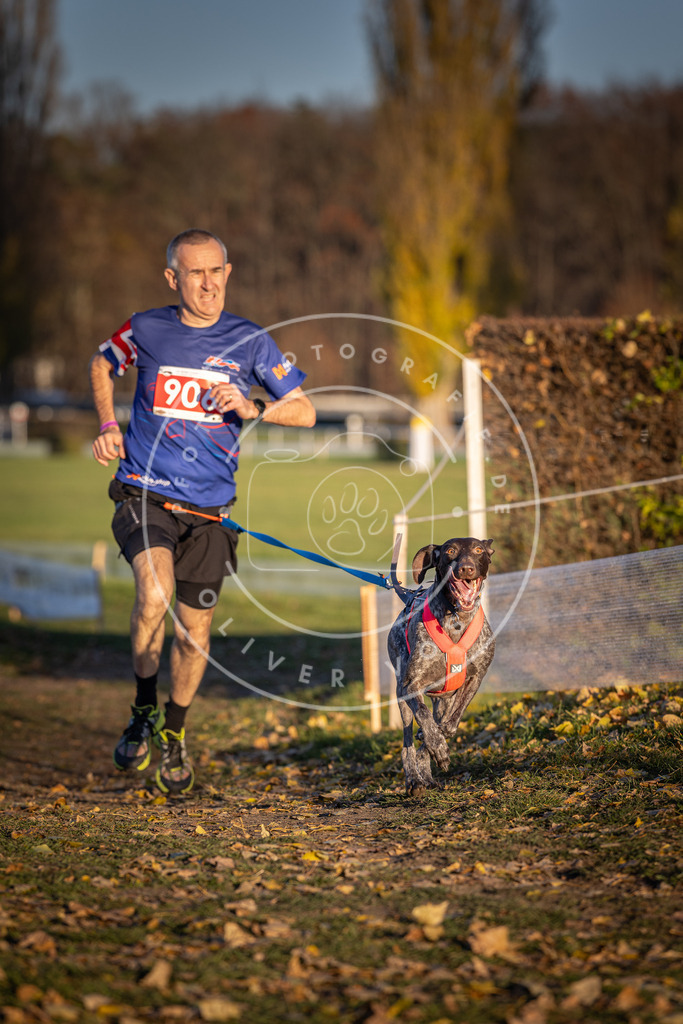 CaniXpix_DV3A4721 | Hundefotografie, Tierfotograf, Pfotenfotografie, Fotoshooting Hund, Hunde Portrait, Hundesport, Hundeportraits, Heideshooting, Hunde, Sportfotograf, Hundefotograf, Turnierhundsport, THS,  - Realisiert mit Pictrs.com