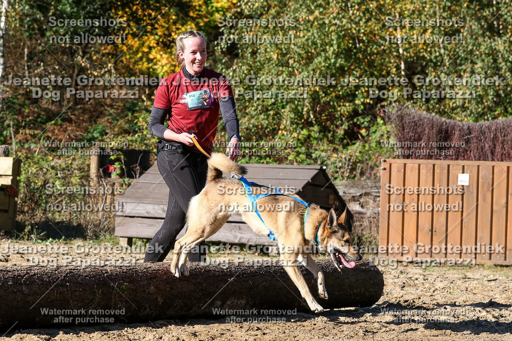 Dog Paparazzi - Strongdog 10-25-2356 | Dog Paparazzi Jeanette Grottendiek Fotografie & Videografie - Realisiert mit Pictrs.com