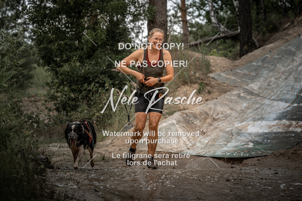 nelerasche_sa1700-Ende_423 | nelerasche