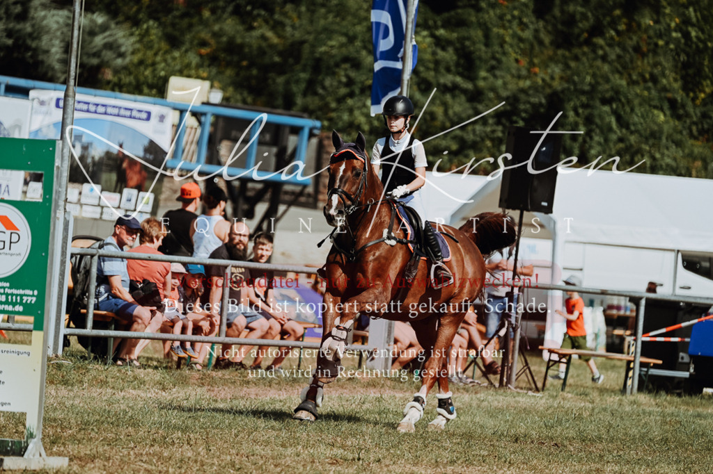 DSC_9466 | Pferde- und Turnierfotografie in Westsachsen. Pferdeportraits, Auftragszeichnungen und intuitive Kunst.