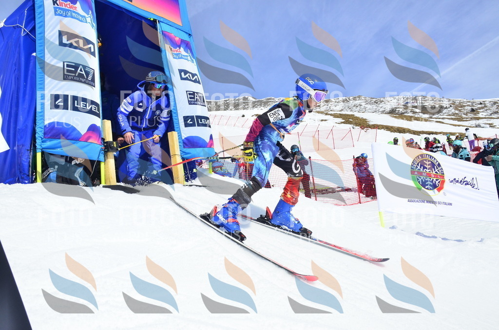 _ELE1731 | holidayphoto