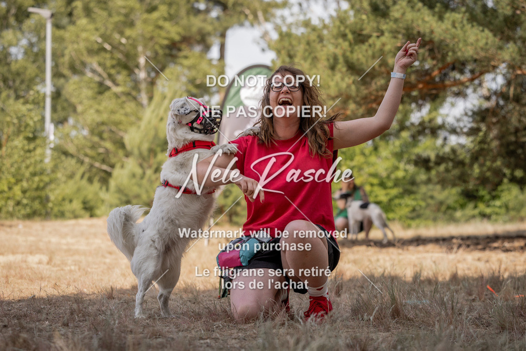 nelerasche_soDD2_412 | nelerasche