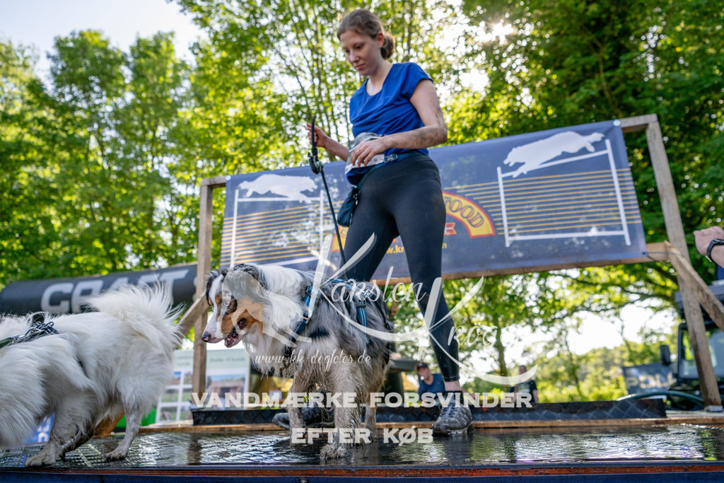 1543_ZZ93078 | kk-dogfotos