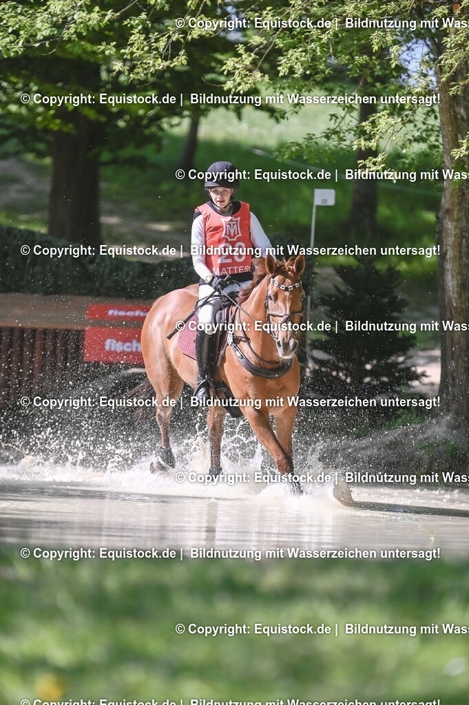 20250517_CCI2_Gelände_0778 | Foto: Thomas Hartig