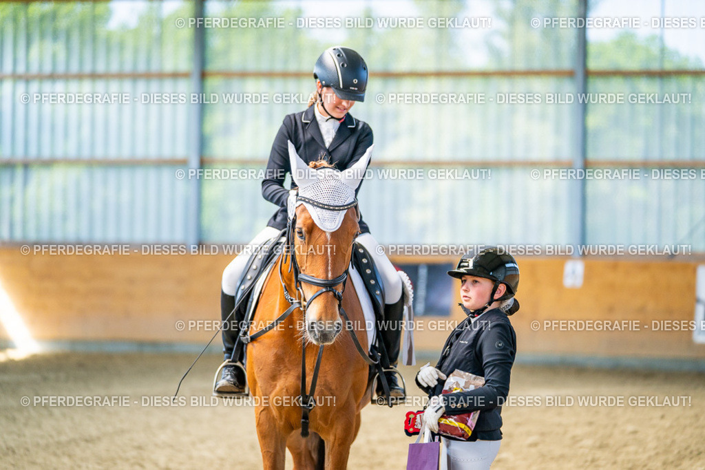 DSC03081 | Pferdegrafie