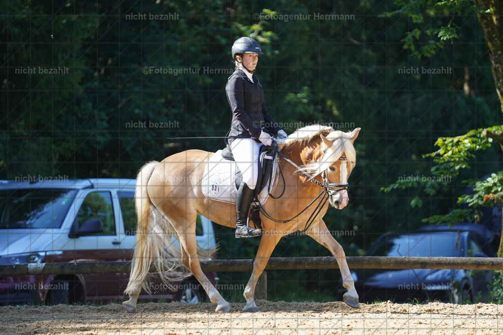 20240706-FAH04738 | Grafing Turnierfotos, Reitverein Ebersberg, Turnierfotografen Bayern, reitsportbilder, Pferdefotograf, reitsportfotograf, Sportbilder, Reitsportfotografie, Fotoagentur Herrmann, Turnierfotograf