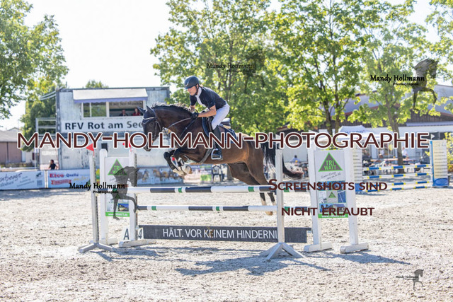 26-7-24 Amateur L-331 | mandyhollmannphotographie