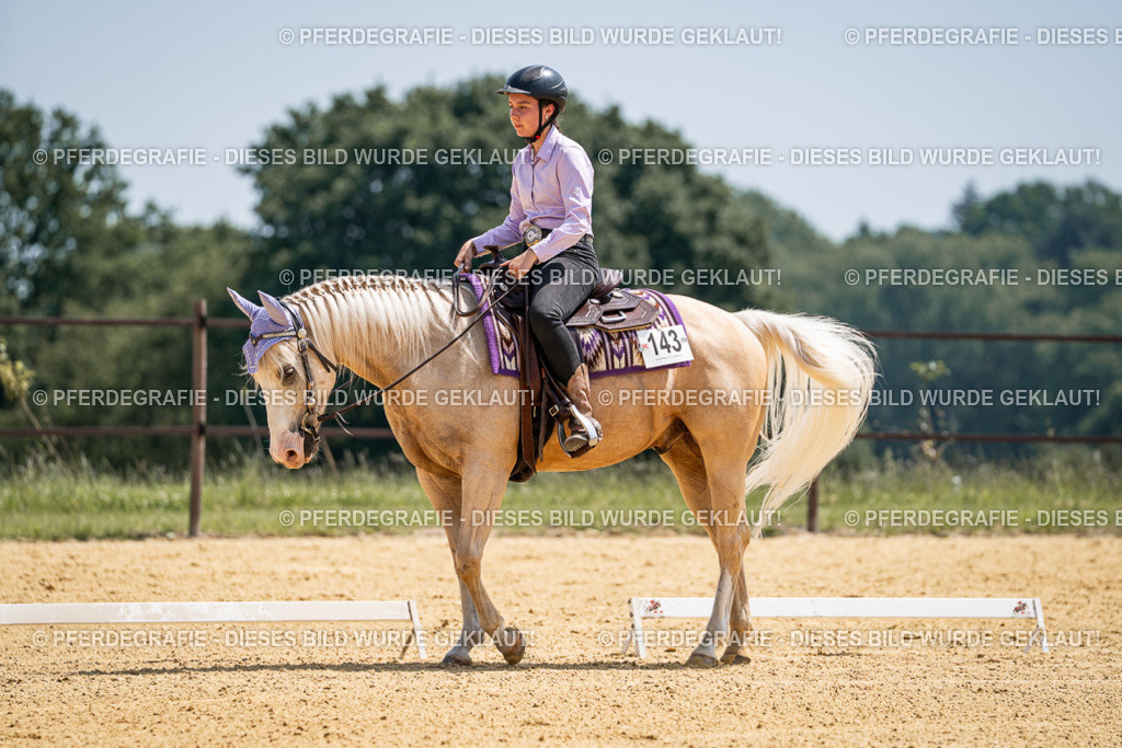 DSC01065 | Pferdegrafie