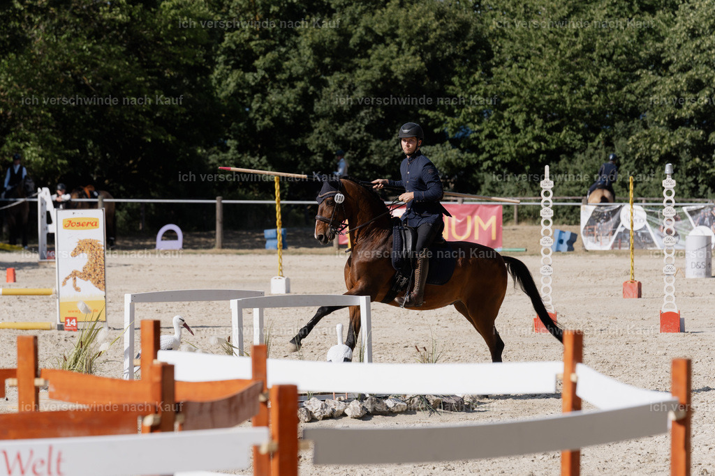 WS_SP_38_SinaFilmArt_IN08974 | working equitationturnier fotograf videograf stoibphotography marixx film working equitation deutschland reitsport turnierfotografie eventfotografie equestrian events