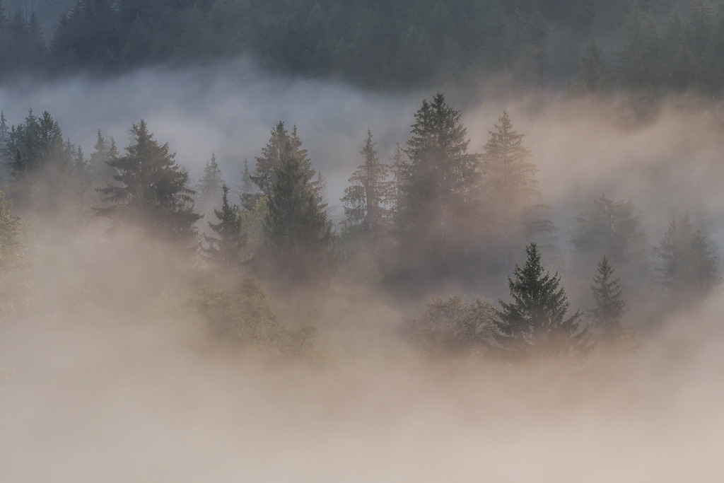 Erster Nebel | Nebel im Morgenlicht vom Raten aus gesehen Richtung Moor - Realisiert mit Pictrs.com