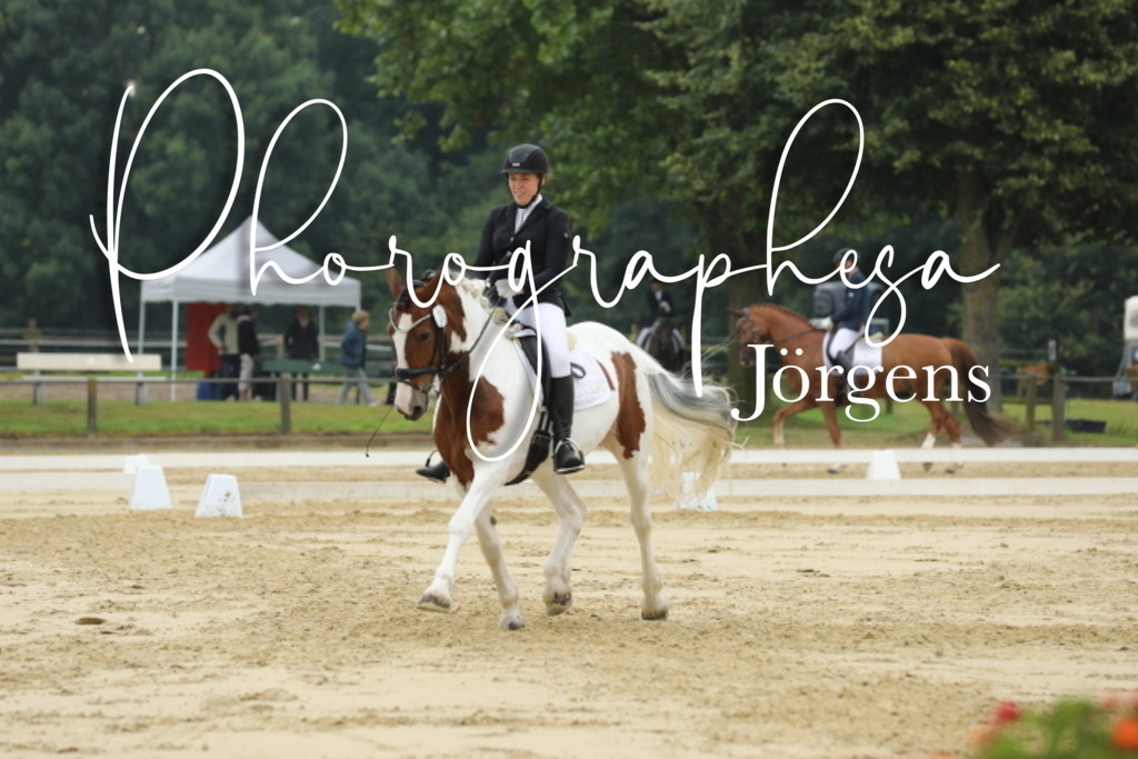 IMG_5341 | photographesa-joergens - Realisiert mit Pictrs.com