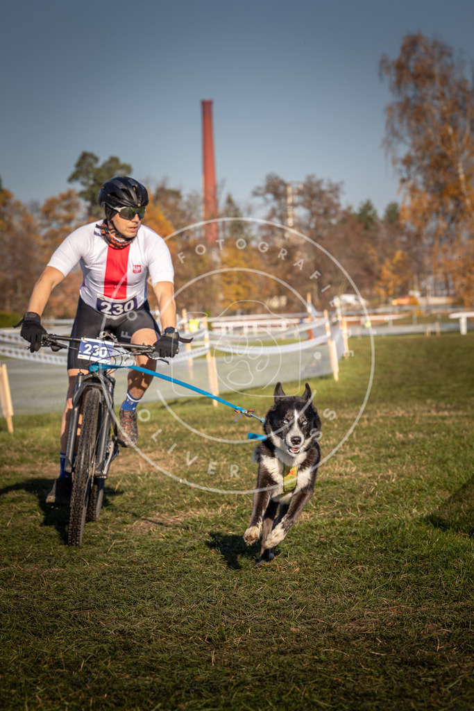 CaniXpix_0L8A4743 | Hundefotografie, Tierfotograf, Pfotenfotografie, Fotoshooting Hund, Hunde Portrait, Hundesport, Hundeportraits, Heideshooting, Hunde, Sportfotograf, Hundefotograf, Turnierhundsport, THS,  - Realisiert mit Pictrs.com