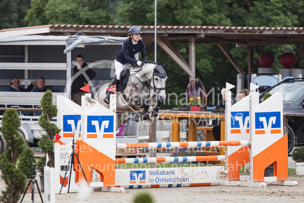 250627_PfSpTa_Stil-A1-152 | Deine schönsten Turniermomente als professionelle Fotos! Entdecke hochwertige Pferdesport-Fotografie im Online-Shop. Jetzt Fotos finden & bestellen!