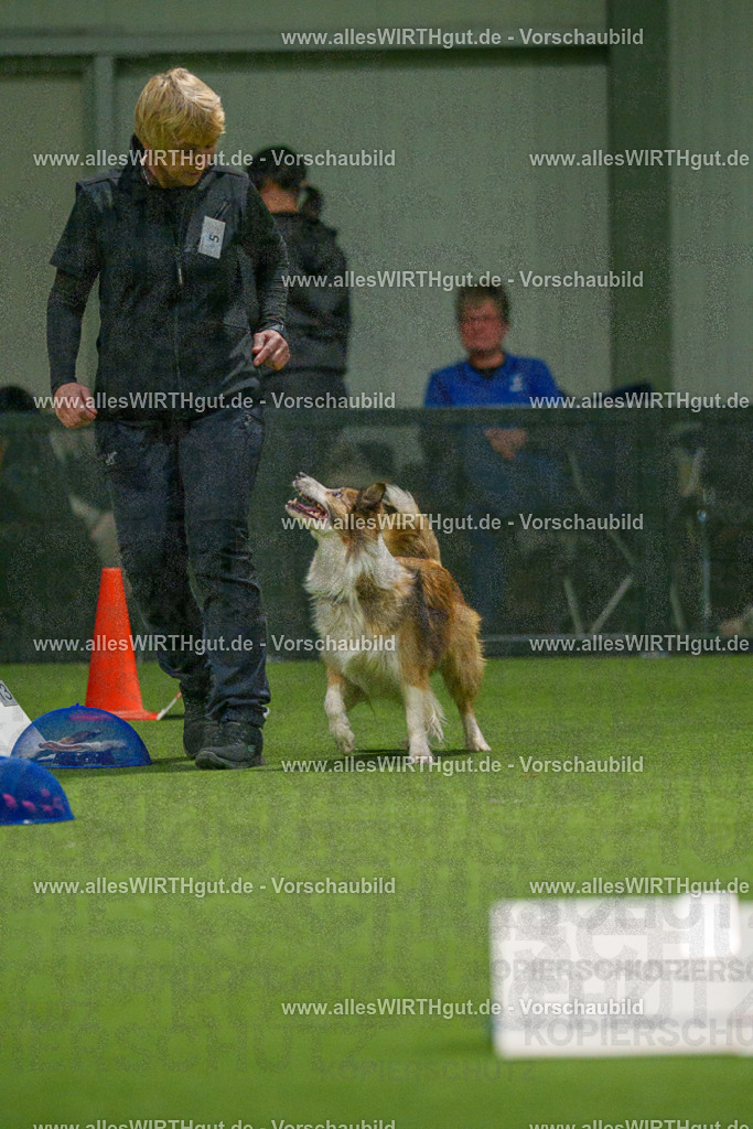 7R504365 | Professionelle Tierfotografie in Mönchengladbach von Daniel Wirth (allesWIRTHgut). Liebevolle & natürliche Bilder von Hunden & Katzen für unvergessliche Erinnerungen.