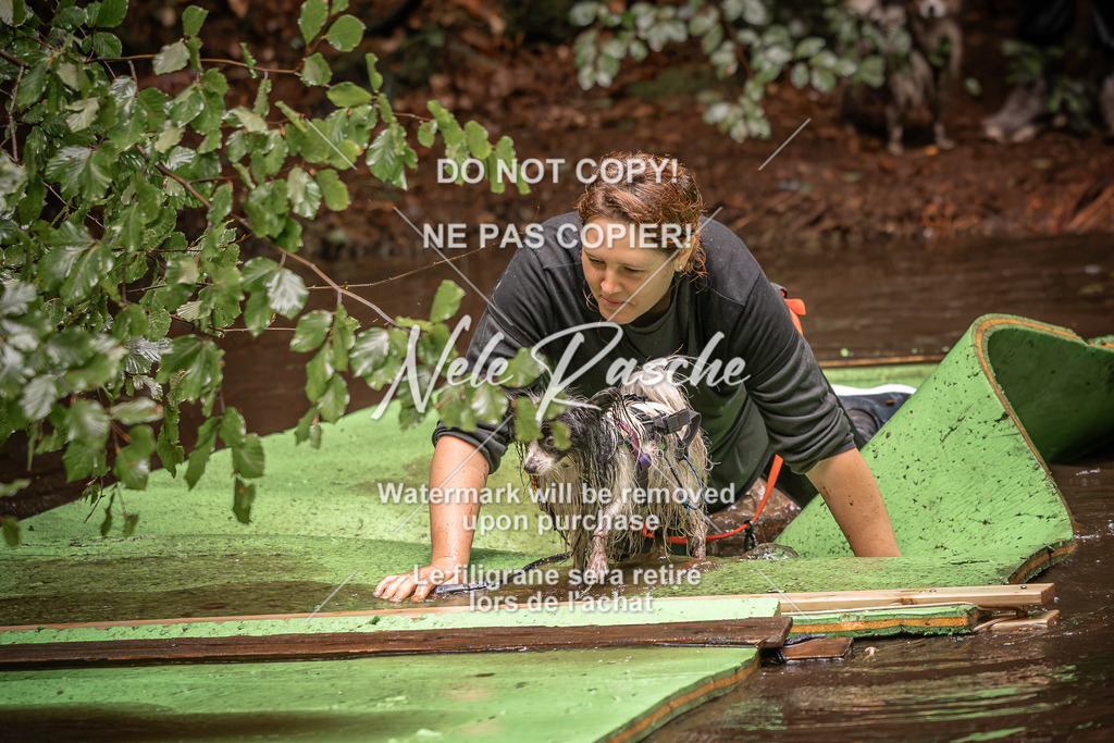 nelerasche_Wingst_Sa1330-1400_306 | nelerasche